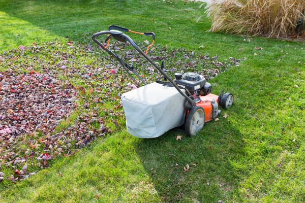 Seasonal Lawn Care in Kirkland