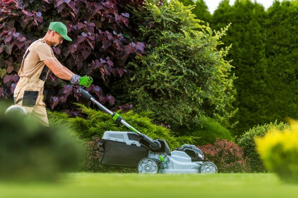 Lawn Management in Kirkland