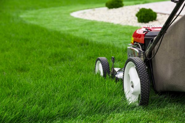 Lawn Trimming in Kirkland