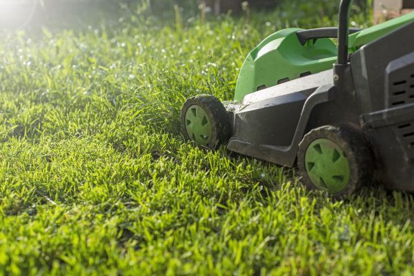 Yard Trimming in Kirkland