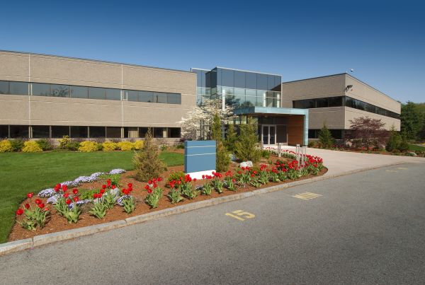 Cost of Commercial Groundskeeping in Kirkland