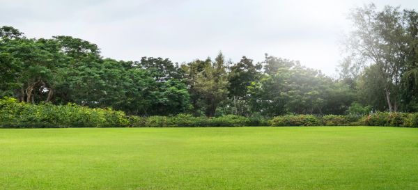 Cost of Golf Course Mowing in Kirkland