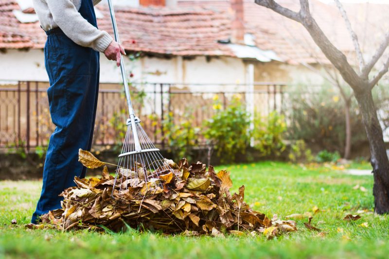 Raking Leaves in the Yard