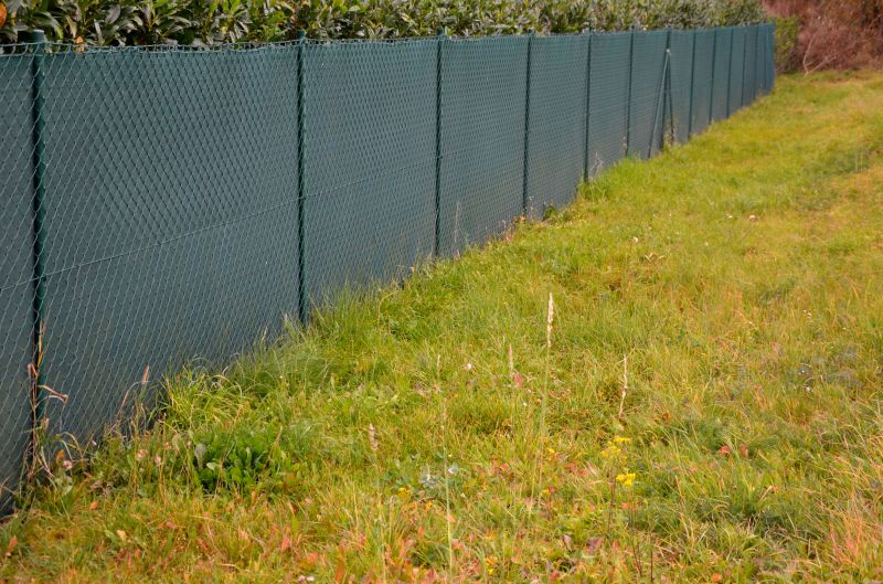 Fence Line Trimming