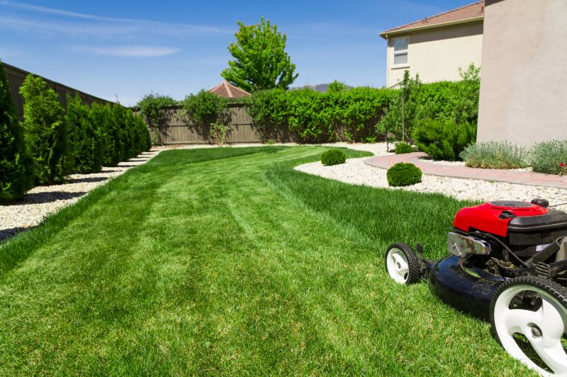 Lawn Cutting Service detail