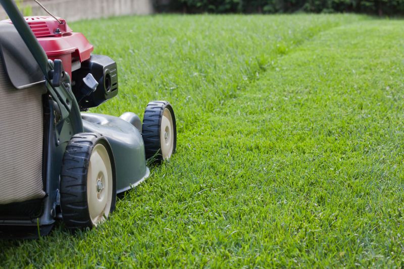 Lawn Care Process
