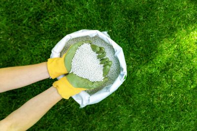 Lawn Maintenance Tips