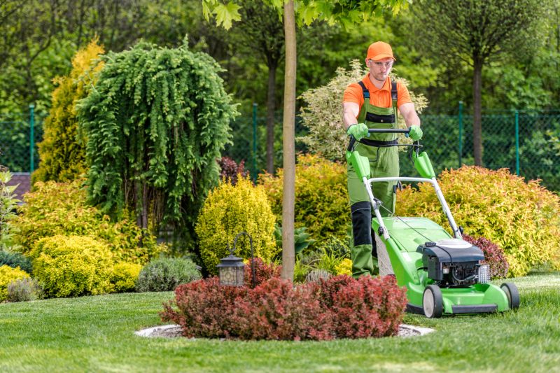 Lawn Mowing Trends